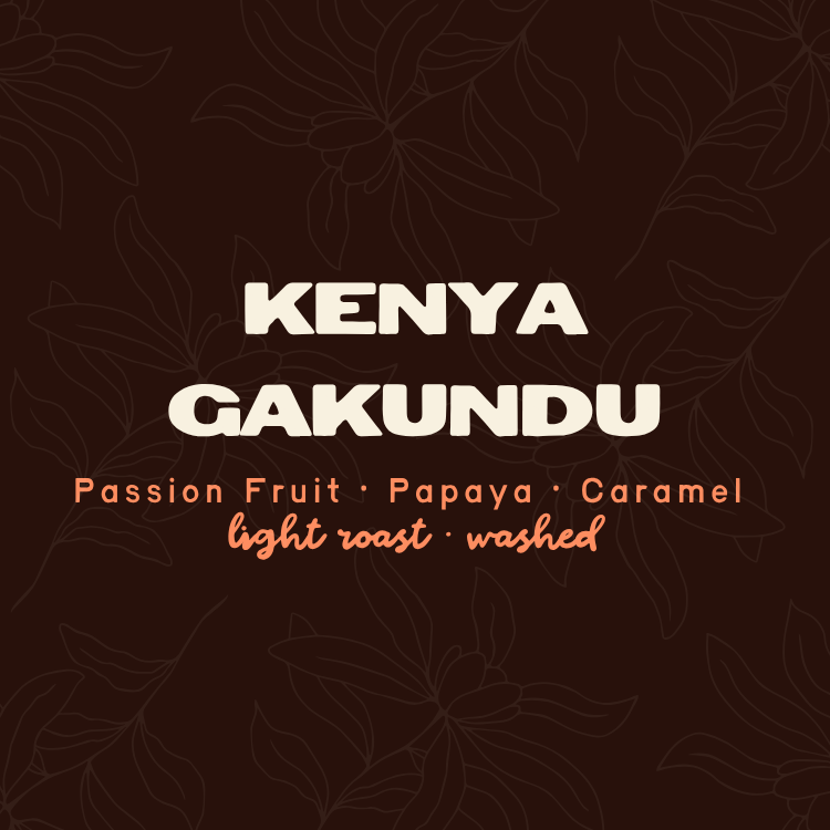 Kenya Gakundu