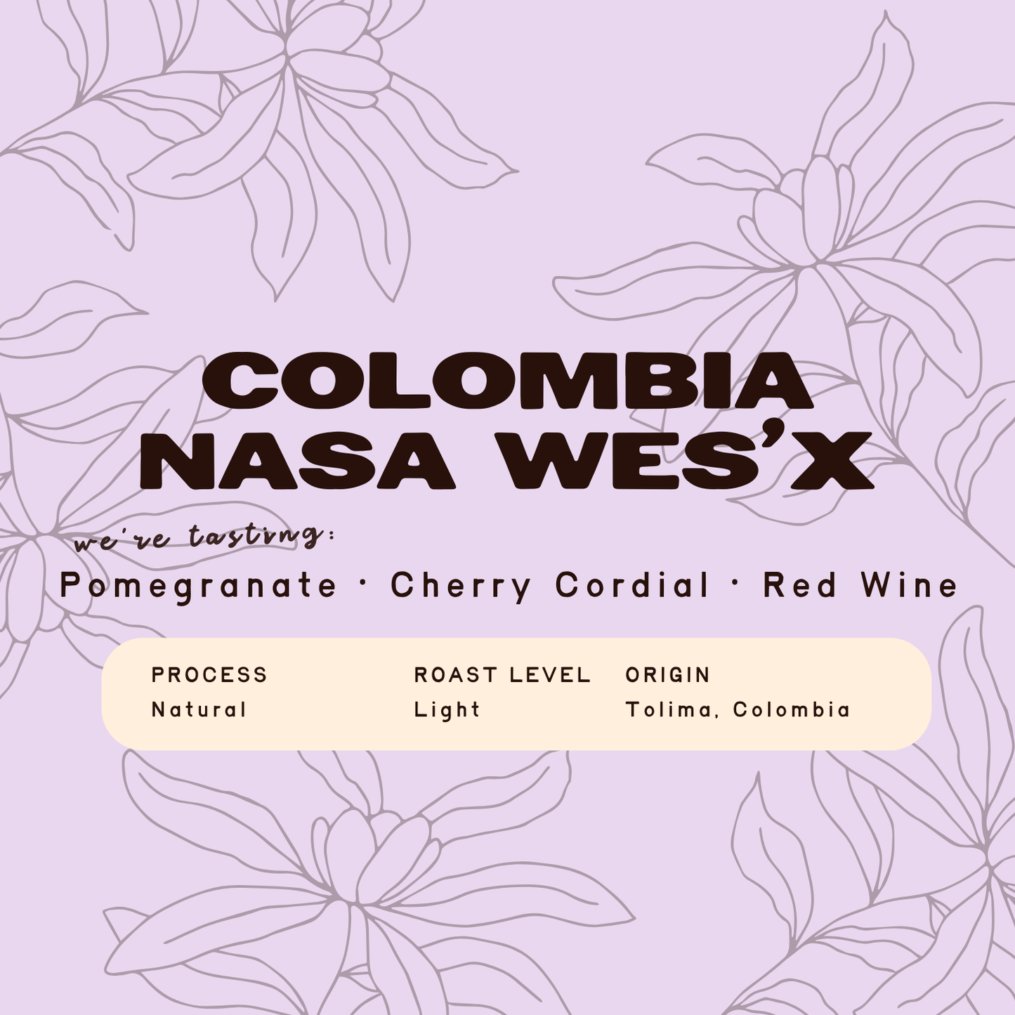 Colombia Nasa Wes'x