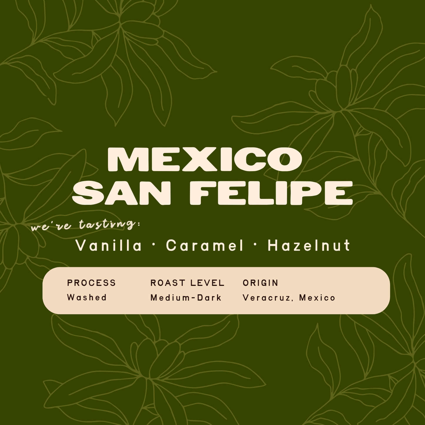 Mexico San Felipe Neria