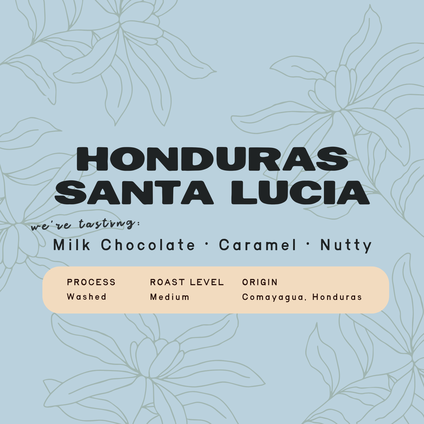 Honduras Santa Lucia