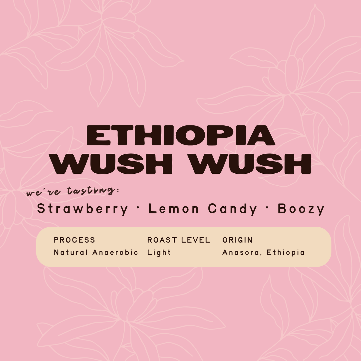 Ethiopia Wush Wush