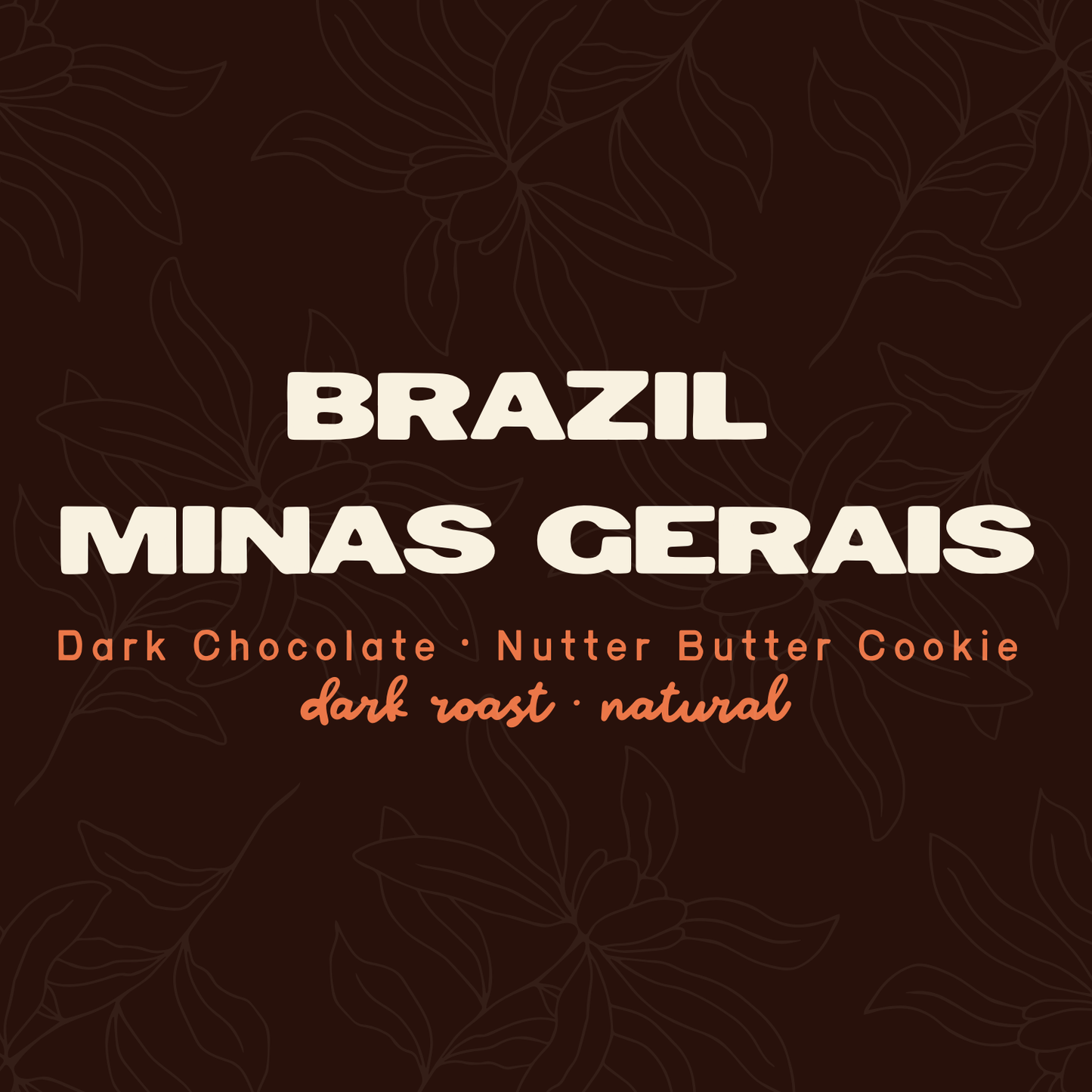 Brazil Minas Gerais