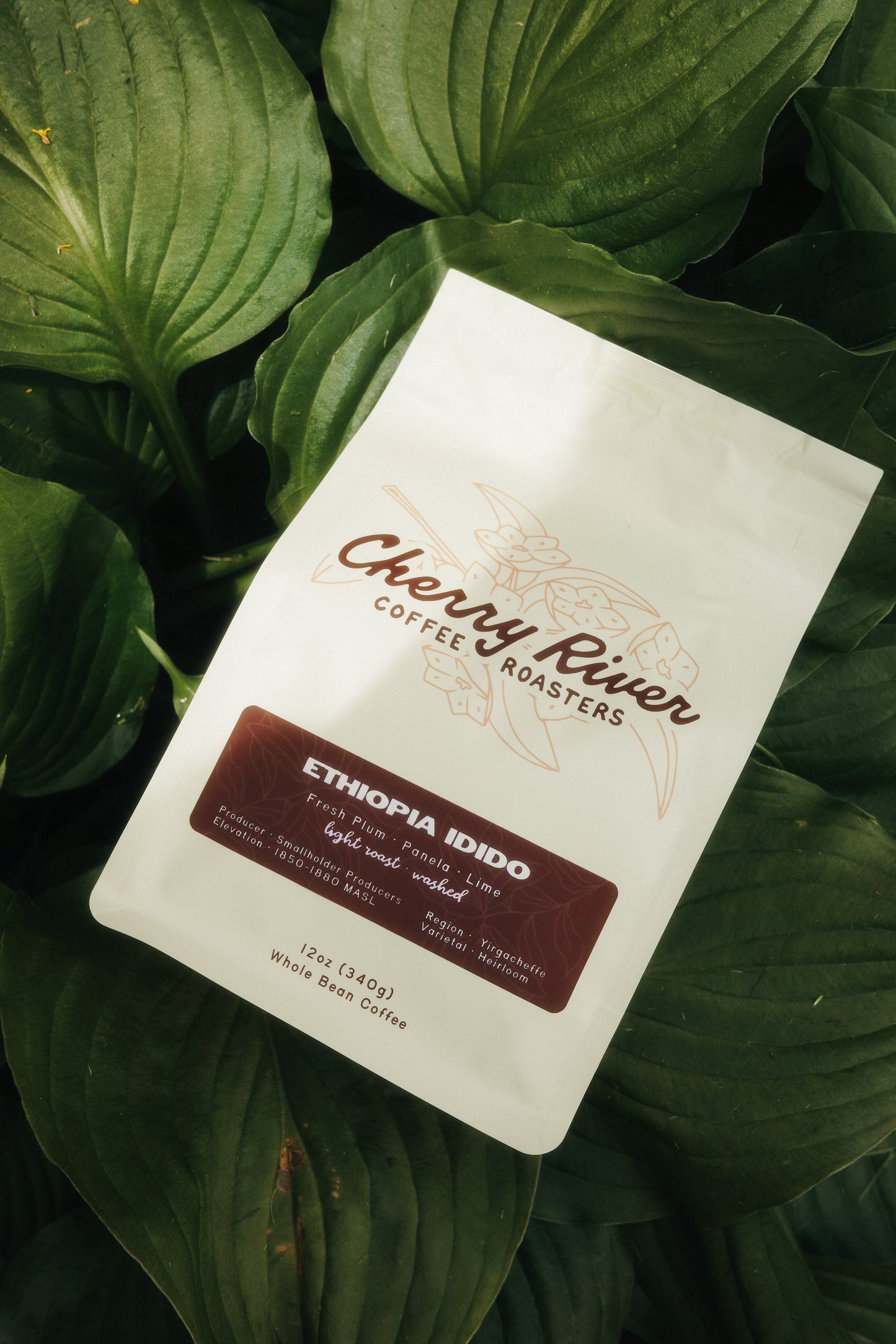 Ethiopia Idido