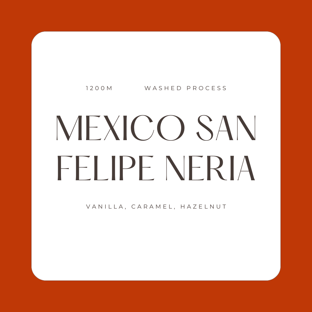 Mexico San Felipe Neria