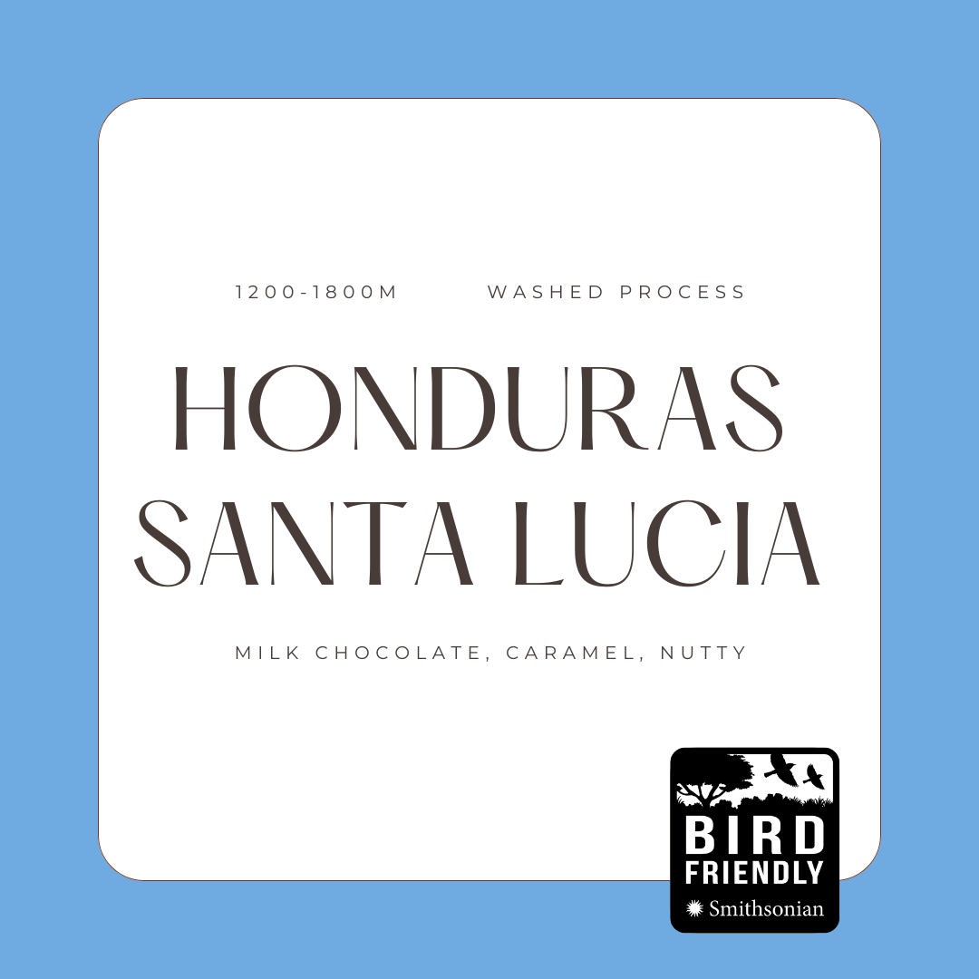 Honduras Santa Lucia